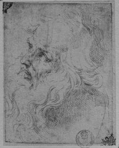 Busto di vecchio volto a sinistra